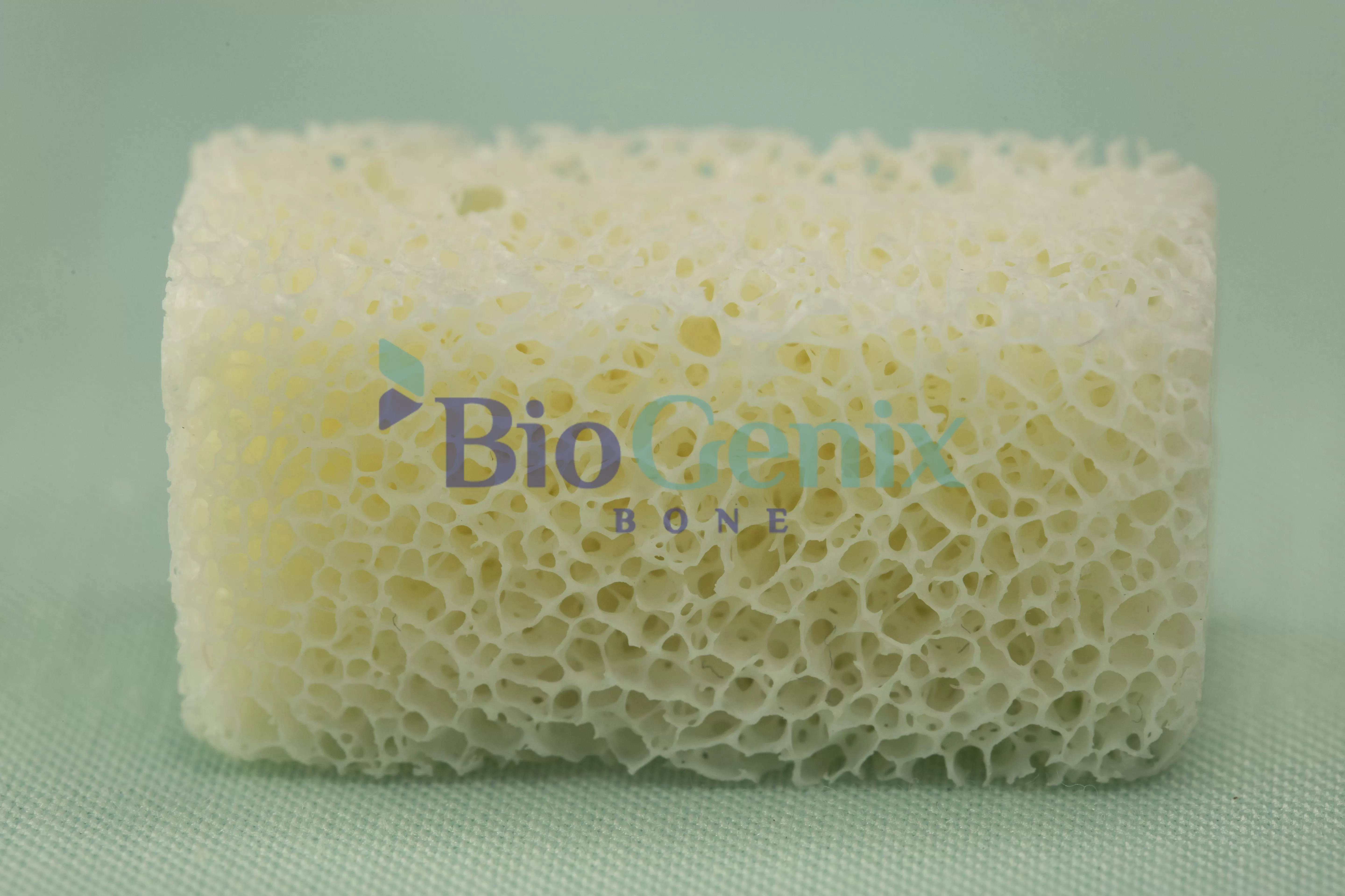 Cancellous Block