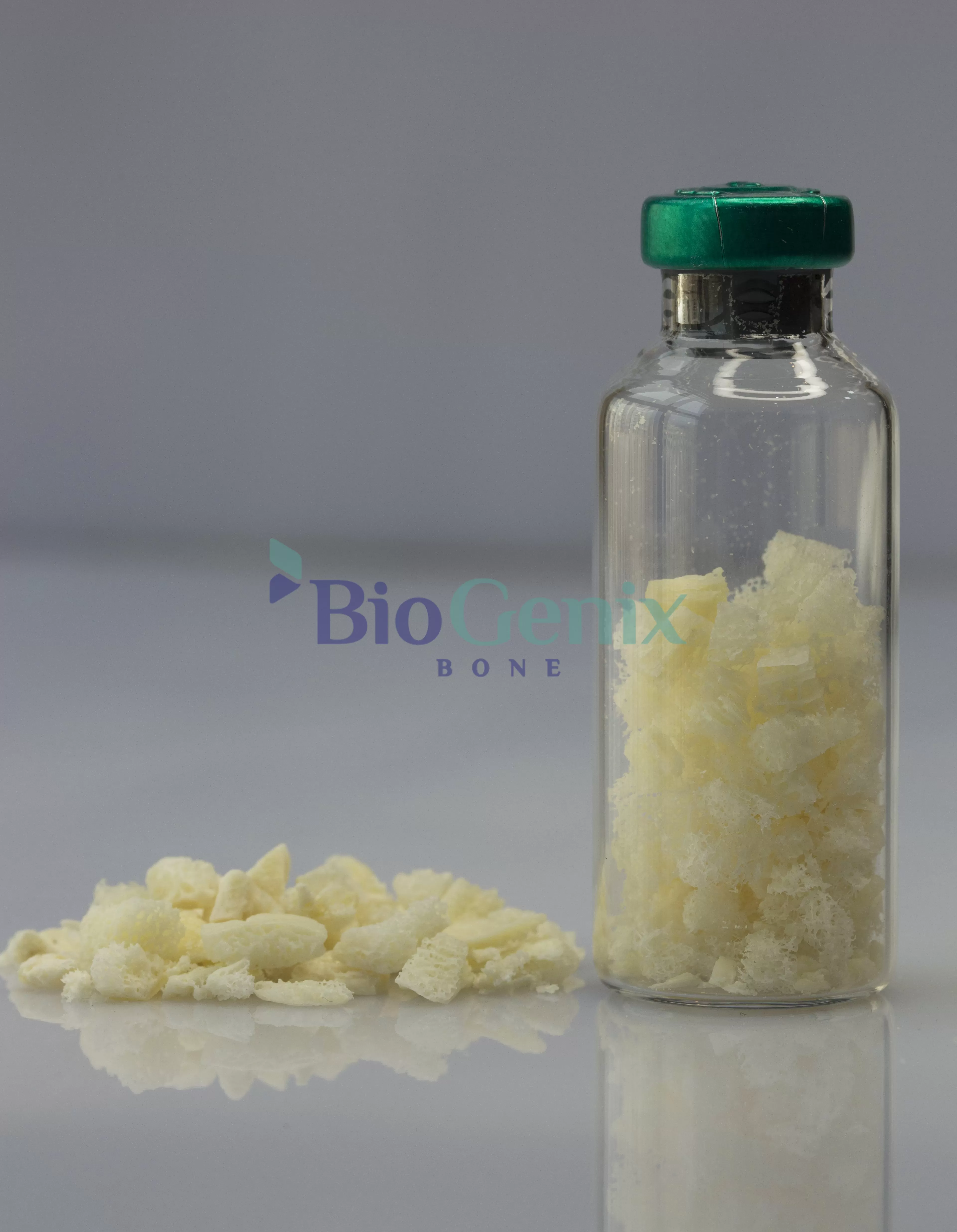 Cortico Cancellous Chips